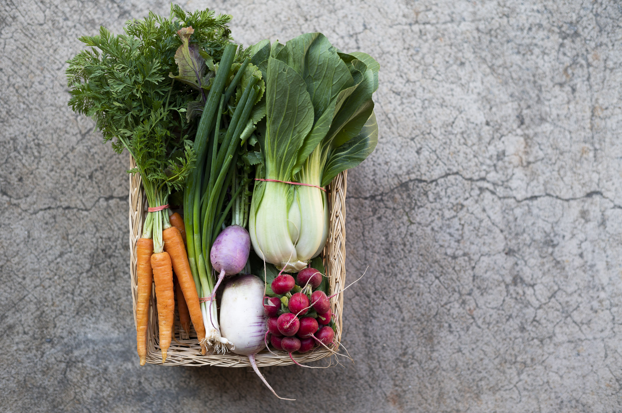 Collective Harvest CSA Box