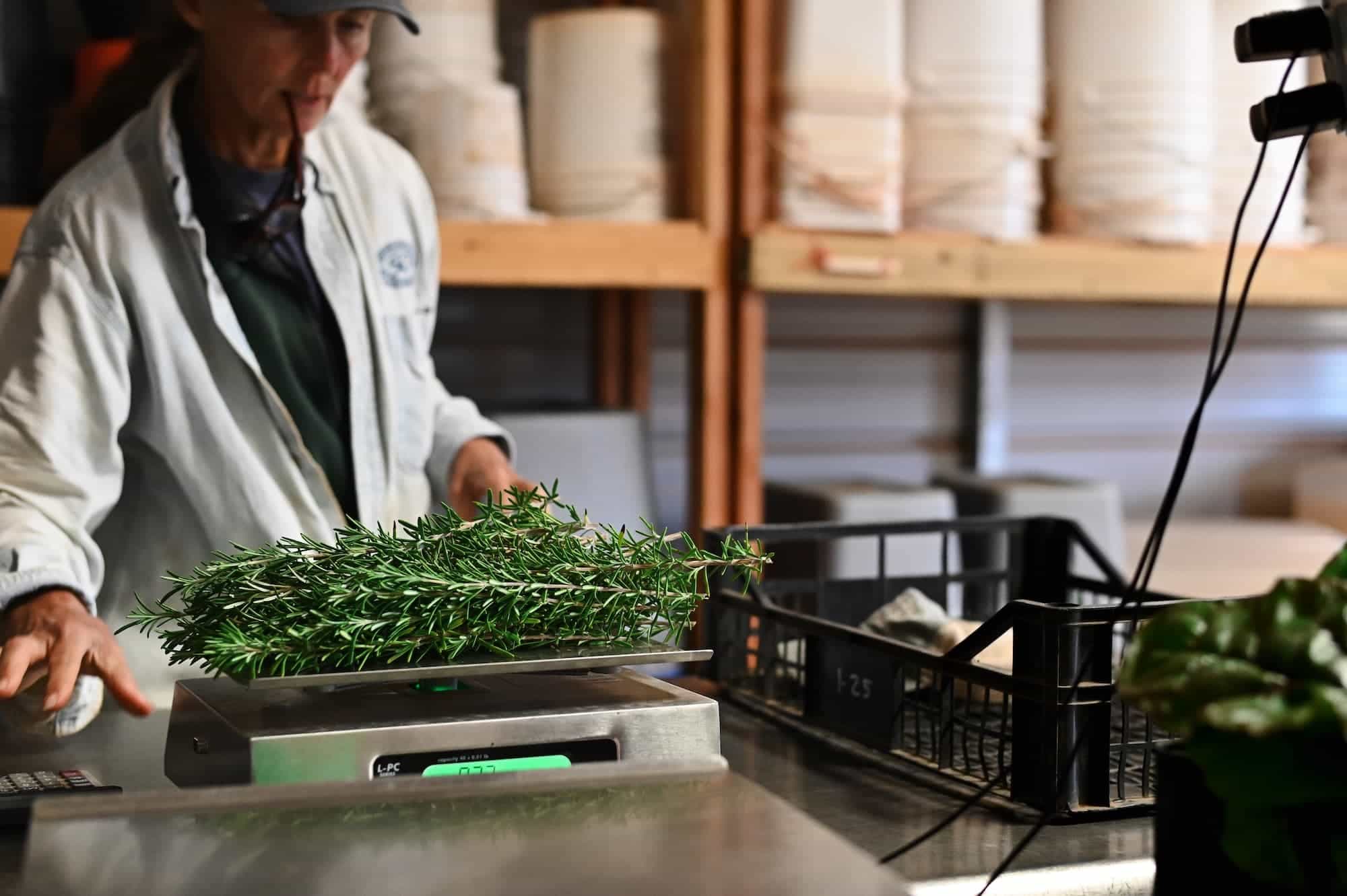 Collective Harvest weighing