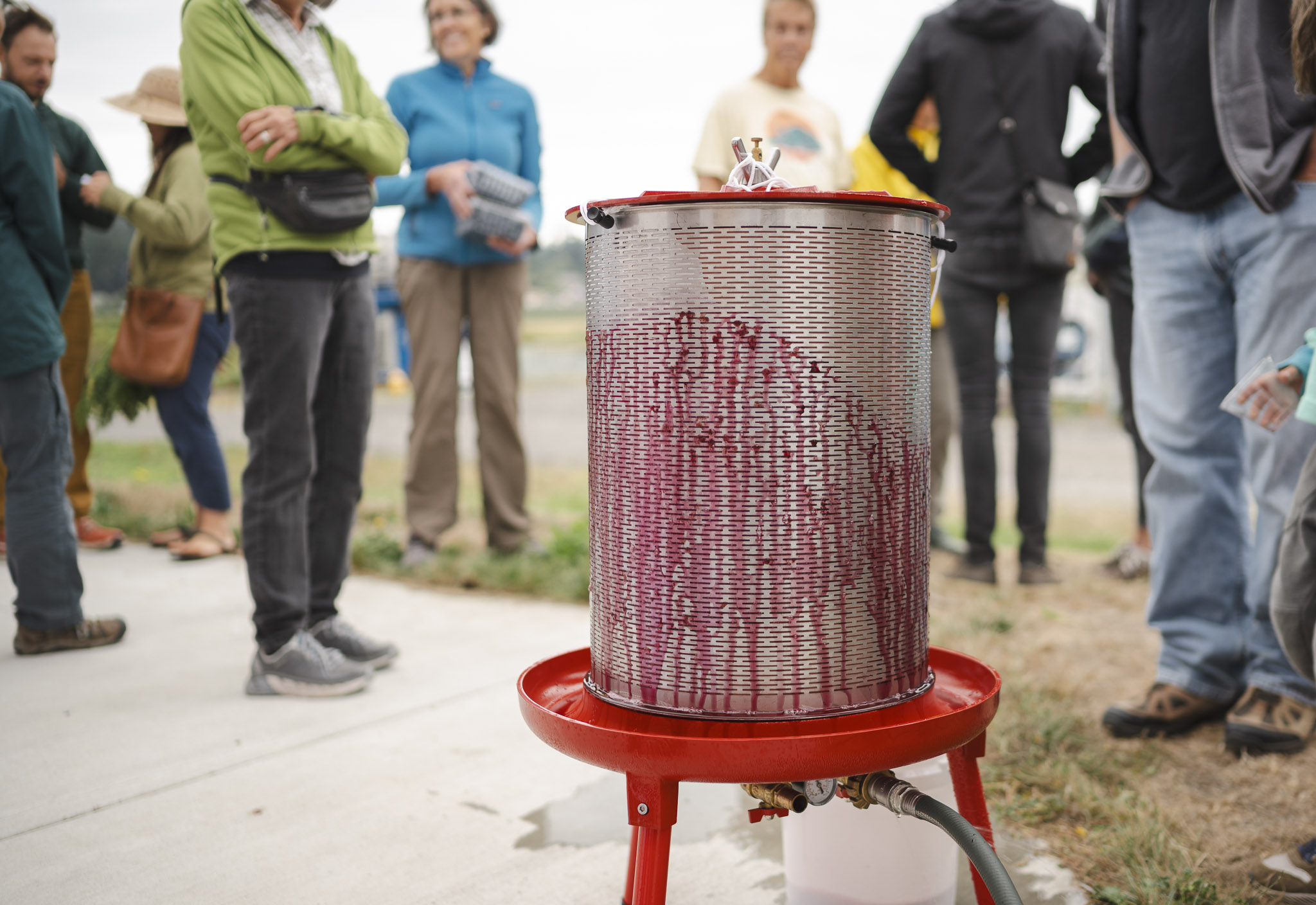 Blueberry juice at the barn