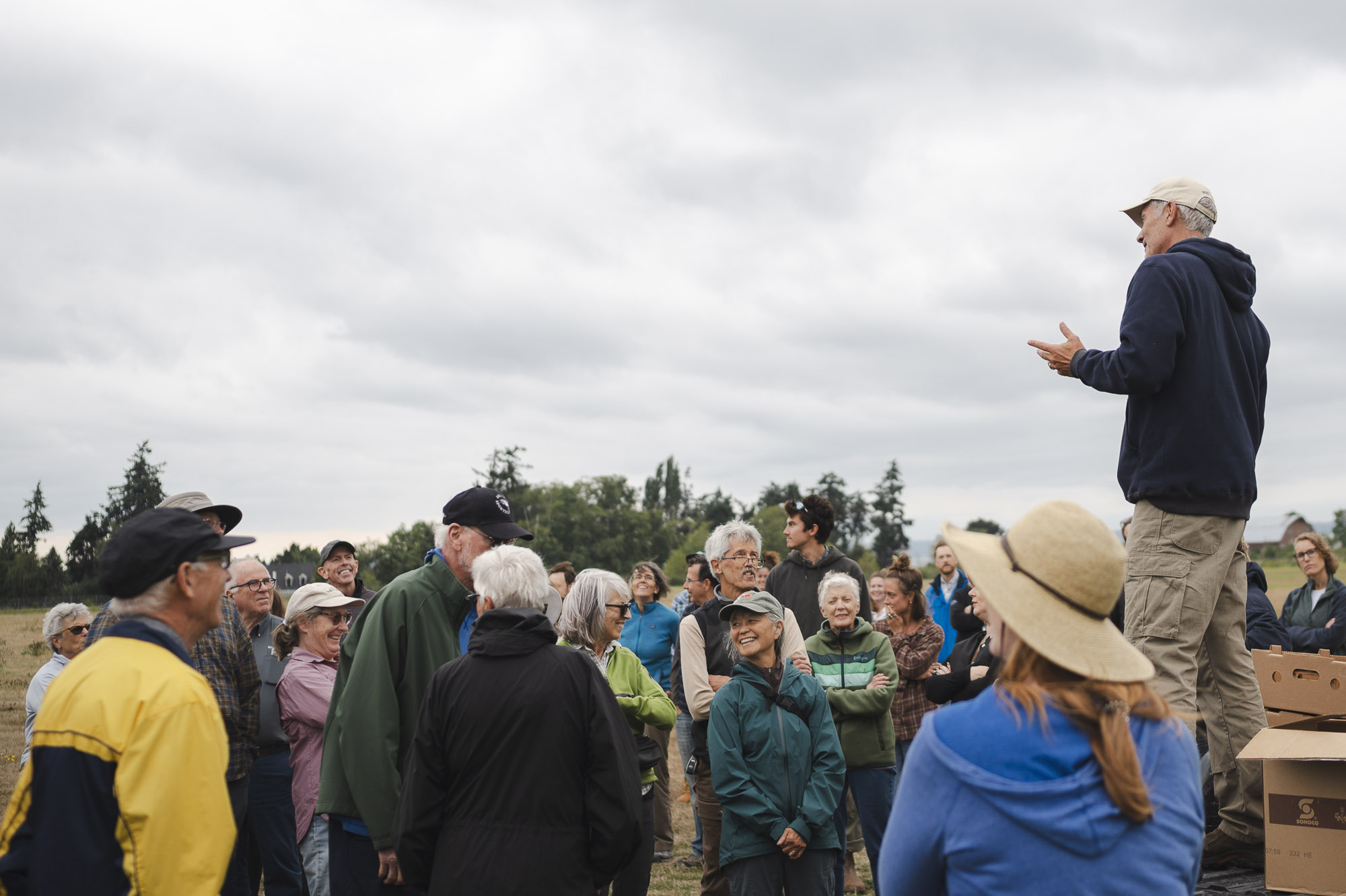 Mutiny Bay Blues blueberry field