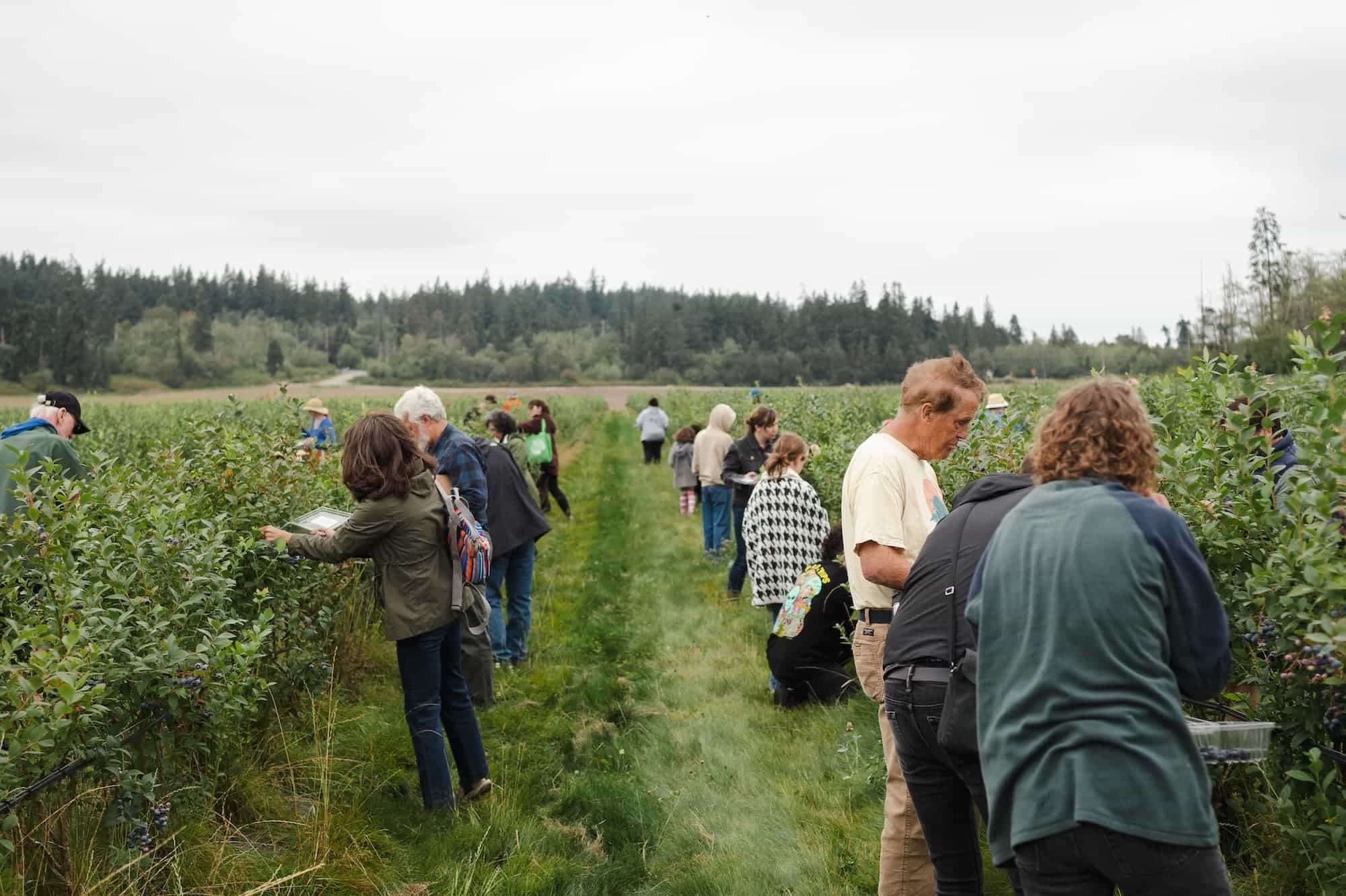 Mutiny Bay Blues Farm Tour