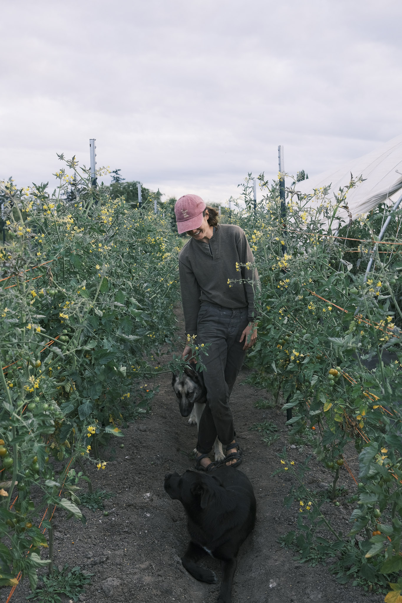 Sleepy Bee Farm merch